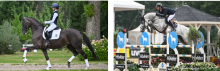 Foto: Bontasia PS (links) und Chacco Grande (rechts) - Fotograf: Performance Sales International Foto: Bontasia PS (links) und Chacco Grande (rechts) - Fotograf: Performance Sales International