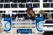 Foto: Patrick Stühlmeyer und der erst neunjährige Hengst Chaloubino PS waren mit 35,43 Sekunden uneinholbar im „LET’S GET HOOVED“ Preis - Fotograf: reitsport-hellmann.de