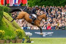 Foto: Frederic Tillmann und DSP Comanche haben das Al Shira'aa 95. Deutsches Spring-Derby präsentiert von Melitta gewonnen - Fotograf: sportfotos-lafrentz.de0