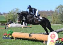 Foto: Tresor d' Esquilin v. Diarado - Andiamo Z - Fotograf: Hubert Fischer