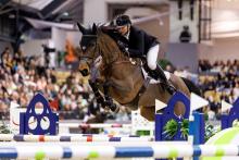 Foto: Koen Vereecke erwischte mit Quinoa de la Linière eine perfekte Runde - Fotograf: sportfotos-lafrentz.de