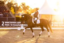 Foto: Hann.Pr.St. Vancouver Lady v. Vitalis/Sir Donnerhall erzielte den Spitzenpreis von 300.000 Euro bei der Verdener Championats-Auktion - Fotograf: Hannoveraner Verband Foto: Hann.Pr.St. Vancouver Lady v. Vitalis/Sir Donnerhall erzielte den Spitzenpreis von 300.000 Euro bei der Verdener Championats-Auktion - Fotograf: Hannoveraner Verband