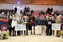 Foto: Oldenburger Hauptprämiensieger 2025, Verbier, v. Von und Zu - Dancier – St.Moritz - Fotograf: Beelitz