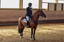 Foto: Richard Vogel/Elton - Fotograf: Tim Heide Foto: Richard Vogel/Elton - Fotograf: Tim Heide