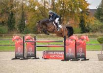 Foto: Chuck v. Cahil ist eine von rund 25 Offerten der 55. Holsteiner Elite-Reitpferdeauktion - Fotograf: Janne Bugtrup