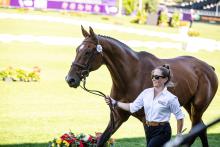 Foto: Die amtierende Europameisterin Laura Collett und London sind bereit für den Beginn der FEI Eventing World Championship - Fotograf: ALRV/Jasmin Metzner Foto: Die amtierende Europameisterin Laura Collett und London sind bereit für den Beginn der FEI Eventing World Championship - Fotograf: ALRV/Jasmin Metzner