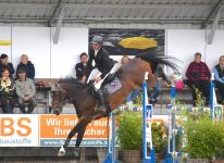 Foto: Die ideale Linie und das beste Tempo gefunden - Kruimel und Jesse Luther haben den Großen Preis von Havekost souverän gewonnen - Fotograf: BM Foto: Die ideale Linie und das beste Tempo gefunden - Kruimel und Jesse Luther haben den Großen Preis von Havekost souverän gewonnen - Fotograf: BM