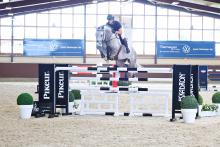 Foto: Dior von Diamant de Semilly - Youngster of the Year 2025 bei den sieben Jahre alten Springpferden - zählt zum Lot der 20. Springpferdeauktion bei Holger Hetzel - Fotograf: Sporthorse-Sales