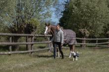 Foto: ESKADRON Weidedecke „ALPHA NORTHERN KNIT 80G“ 