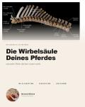Zum Vergrößern einfach aufs Bild klicken! Zum Vergrößern einfach aufs Bild klicken!
