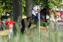 Foto: Julia Krajewski und Uelzener's Nickel auf dem Weg zu ihrem fünften Deutschen Meistertitel - Fotograf: © Stefan Lafrentz Foto: Julia Krajewski und Uelzener's Nickel auf dem Weg zu ihrem fünften Deutschen Meistertitel - Fotograf: © Stefan Lafrentz