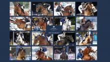 Graphik: LGCT / GCL Graphik: LGCT / GCL