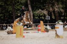 Foto: Für sämtliche deutschen Kaderreiter stellt München einen wichtigen Qualifikationstermin auf dem Weg zur Weltmeisterschaft im September dar – so auch für den amtierenden Deutschen Meister Mitja Hinzpeter." - Fotograf: Stoiphotography Foto: Für sämtliche deutschen Kaderreiter stellt München einen wichtigen Qualifikationstermin auf dem Weg zur Weltmeisterschaft im September dar – so auch für den amtierenden Deutschen Meister Mitja Hinzpeter." - Fotograf: Stoiphotography