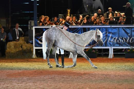 Foto: Ausdrucksstarke Verbeugung vor dem Orchester: Das große Kulturerbe des Zirkus vertritt Jana Mandana Lacey-Krone bei den Marbach Classics 2022 - Fotograf: Schreiner