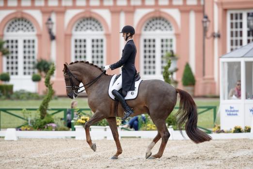 Foto: Piaffiert zum Sieg: Sönke Rothenberger (GER) auf Favourit - Fotograf: Sportfotos-Lafrentz.de