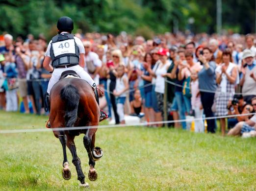 Foto: Herausforderung für die U25-Reiter und Zuschauermagnet – die Geländestrecke im Biebricher Schlosspark - Fotograf: WRFC/Lafrentz