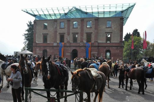 Foto: 110 Pferde trafen sich im vergangenen Jahr zum WRFC-Sternritt vor dem Jagdschloss Platte - Fotograf: Lothar Krug