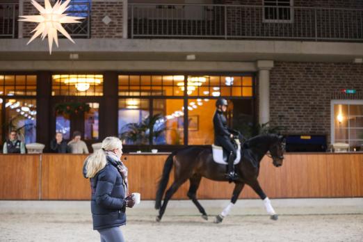 Foto: Impression vom Trainingstag Dressur auf Hof Sosath - Fotograf: Julia Roßner,Hof Sosath