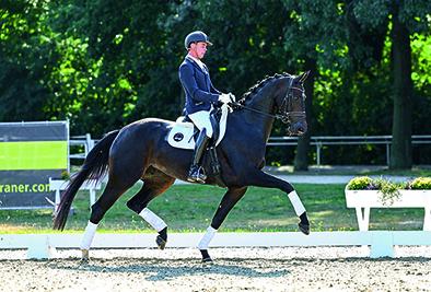 Foto: Vom Bundeschampionat ins Auktionslot: Donnamita v. Don Martillo/Dimaggio - Fotograf: Hannoveraner Verband/Beelitz/Gerstenkorn