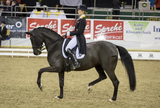 Foto: Beatrice Buchwald auf Weihegold OLD - Fotograf: sportfotos-lafrentz.de