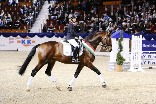 Foto: Impressionen einer Hengstgala beim K+K Cup - Fotograf: Karl-Heinz Frieler 
