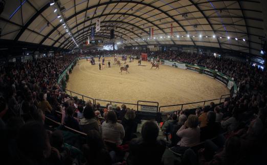 Foto: Die VR Classics locken im Februar 2016 mit Weltcup-Dressur, internationalem Springsport und dem legendären Schau-Wettkampf - Fotograf: Hellmann