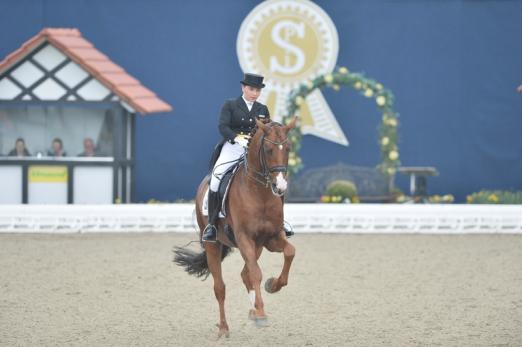 Foto: Siegerin des Nürnberger Burg-Pokals 2012 Charlott-Maria Schürmann (Gehrde) mit Burlington bei Horses & Dreams 2013 - Fotograf: Karl-Heinz Frieler