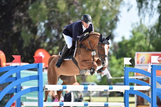 Foto: Questa Vittoria ist auch 2015 schnellstes Pferd von Thomas Kleis - Fotograf: Karl-Heinz Frieler