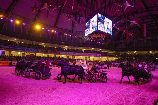 Foto: Rasante Bilder lieferte Publikumssieger Nibelungen Quadrille Odenwald in der Festhalle. - Fotograf: Stefan Lafrentz