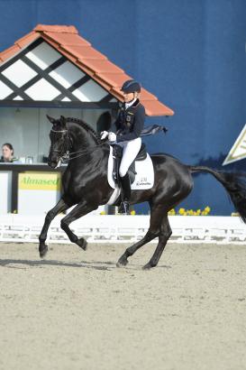 Foto: Ingrid Klimke mit Dresden Man - Fotograf: Karl-Heinz Frieler 