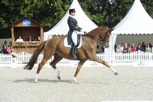 Foto: Ulla Salzgeber mit Herzruf’s Erbe beim CHI Donaueschingen - Fotograf: Karl-Heinz Frieler