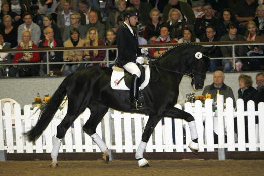 Foto: Die dreijährige Rappstute Sensation (v. San Remo – Ferragamo) brachte ihrer Züchterin Maria Leusmann den Spitzenpreis von 141.000 Euro