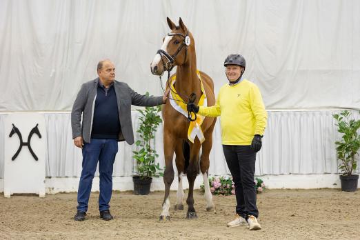 Foto: Brauner v. Aganix du Seigneur Z/Eldorado van de Zeshoek mit seinem Züchter und Aussteller Antonius Schulze-Averdiek - Fotograf: Hannoveraner Verband