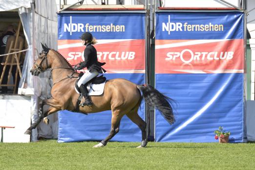 Foto: Pferdefestival Redefin, auch 2014 gibt es die Liveübertragung im NDR an zwei Tagen. Das Bild zeigt Janne Friederike Meyer in Redefin 2013 - Fotograf: Karl-Heinz Frieler