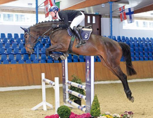 Foto: Ein strahlender Hengstanwärter: Queeletta v. Quality-Landor S-Cheenok begeistert als Parcours-Gigantin. - Fotograf: Ernst
