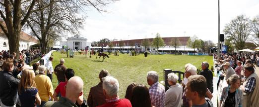 Foto: Dicht umringt - der Springplatz beim Pferdefestival Redefin - Fotograf: Thomas Hellmann