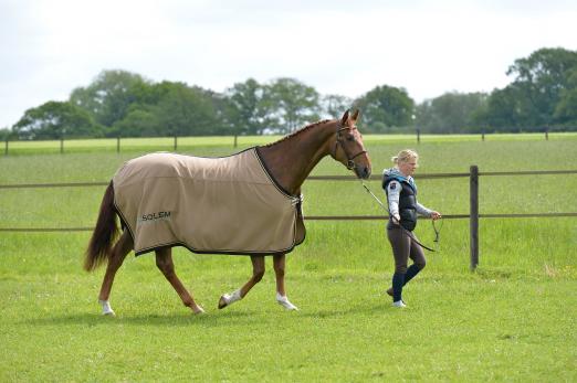 Foto: Pia-Katharina Beeking mit Chaciara von Chacco-Blue-Landgold aus dem Sportstall Schockemöhle - Fotograf: Karl-Heinz Frieler 