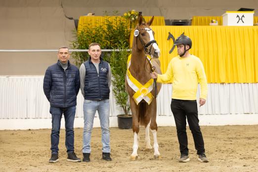 Foto: Der Prämienhengst v. Aganix du Seigneur Z/Cascavello mit seinen Züchtern und Ausstelllern Ralf Ferri und Rafal Krajewski - Fotograf: Hannoveraner Verband Foto: Der Prämienhengst v. Aganix du Seigneur Z/Cascavello mit seinen Züchtern und Ausstelllern Ralf Ferri und Rafal Krajewski - Fotograf: Hannoveraner Verband