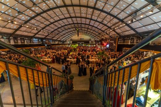 Foto: Über 6.500 Gäste werden zum Ball der Pferdefreunde im Januar erwartet - Fotograf: Peter Hansen