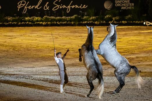 Foto: Jerome Sefer während seiner freien Voltigiershow mit Kevin Ferreira bei „Pferd und Sinfonie“ 2025 - Fotograf: CHIO Aachen/Jasmin Metzner