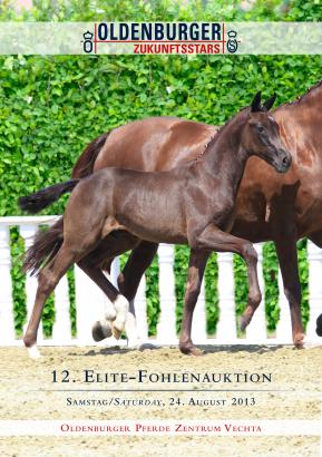 Foto: Titelheld der Elite-Fohlenauktion: Fürstbischof II v. Fürst Romancier-Plaisir d'Armour-Rubinstein I ist ein Vollbruder des zweiten Reservesiegers der Körung 2012 Fürstbischof. - Fotograf: Beelitz