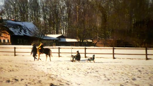 Foto: Schnee ist selten – aber wenn er fällt, wird bei Familie Luther der Schlitten herausgeholt. Früher zogen ihn die Ponys, heute der Trecker - Fotograf: Veranstalter
