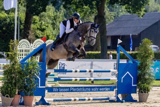 Foto: Fünfjährige Siegerin im Gestüt Welverts Springpferdechampionat in memoriam Hans-Werner Paul wurde die Rheinklang-Tochter Cayenne no limits, gekonnt vorgestellt von Sönke Kohrock - Fotograf: Jutta Bauernschmitt