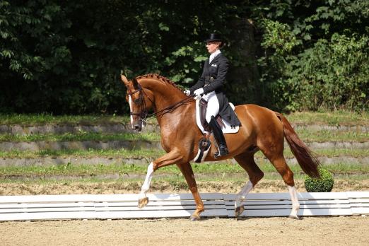 Foto: Juliane Brunkhorst und Wells Fargo - Fotograf: Tierfotografie Huber 