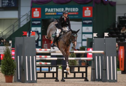 Foto: Philipp Schober mit Pikeur Cleveland - Sieger im W. Seineke Partner Pferd Cup 2014 - Fotograf: Stefan Lafrentz