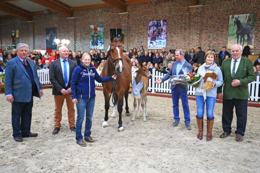Foto: Springbetontes Siegerfohlen, Nr. 2 von Cador aus der Condira von Capilano - Charisma, Züchterin Silke Blendermann - Fotograf: Hahn