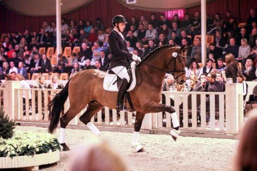 Foto: Preisspitze der Dressurpferde, V-Plus Gold unter Frederic Wandres - Fotograf: LL Foto