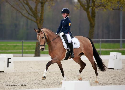 Foto: Fotoagenutur Dill 