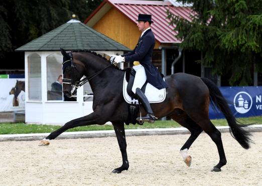 Foto: 2019 gewannen Thomas Wagner und Soul Men die Finalqualifikation bei den Bettenröder Dressurtagen – heute ist das Paar hocherfolgreich im Grand-Prix-Sport angekommen - Fotoraf: Maximilian Schreiner