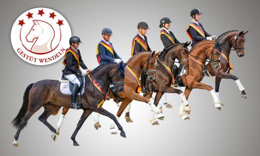 Foto: Die fünf Vollgeschwister und Bundeschampionatssieger (v.l.) Casey OLD, Caty OLD und Candy OLD unter Hermann Gerdes, Sir Heinrich OLD mit Anja Wilimizig und Cindy OLD mit Hermann Gerdes - Fotograf: Tanja Becker